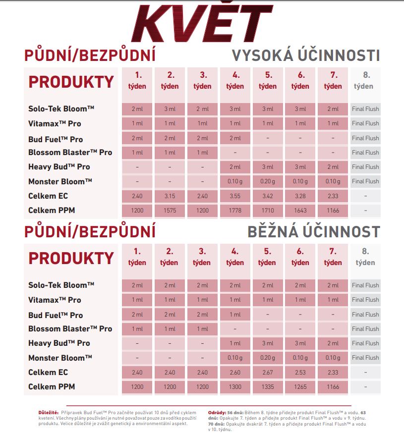 grotek květ